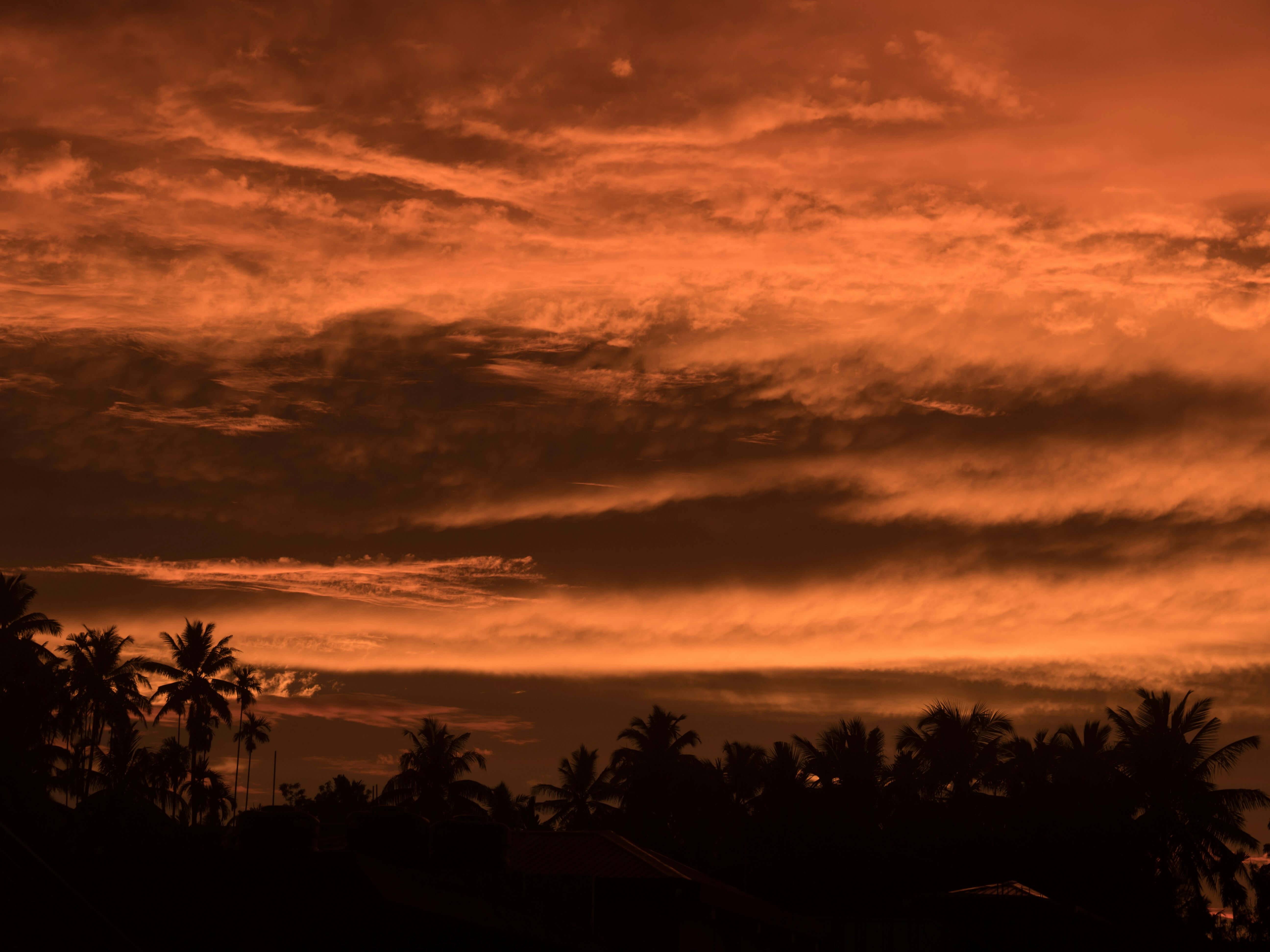 Image for Havelock Island (Swaraj Dweep) - Header