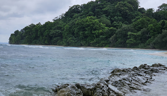 Image for Neil’s Cove